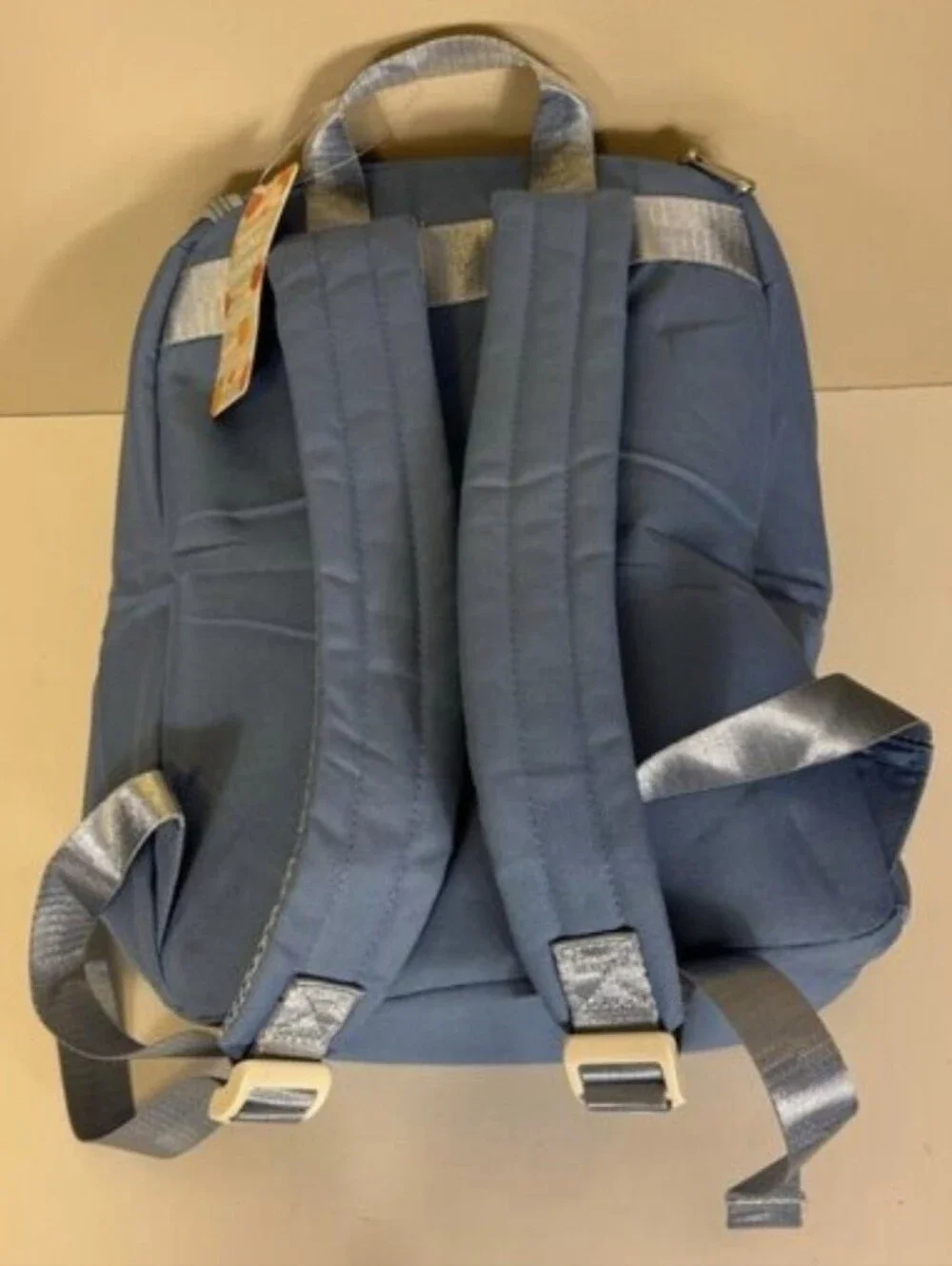 New June Shine Blue Backpack Insulated Cooler Bag